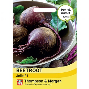 Thompson & Morgan Beetroot Beta vulgaris Jolie F1 Seeds