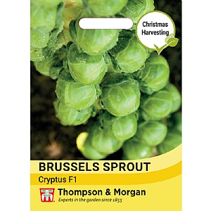 Thompson & Morgan Brussles Sprout Cryptus F1 Seeds