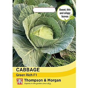 Thompson & Morgan Cabbage Green Rich F1 Seeds