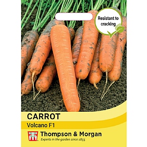 Thompson & Morgan Carrot Volcano F1 Seeds