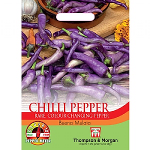 Thompson & Morgan Chilli Capsicum annuum Buena Mulata Seeds
