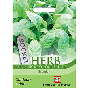 Thompson & Morgan Herb Rocket Scorpion Rocket Seeds