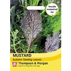 Thompson & Morgan Autumn Mustard Leaves Seeds