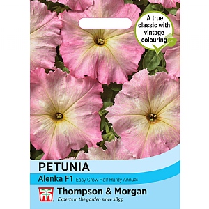 Thompson & Morgan Petunia hybrida Multiflora Alenka F1 Seeds
