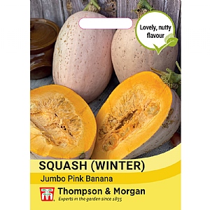 Thompson & Morgan Squash Winter Jumbo Pink Banana Seeds