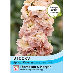 Thompson & Morgan Stock Apricot Column Seeds