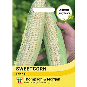 Thompson & Morgan Sweetcorn Eden F1 Seeds