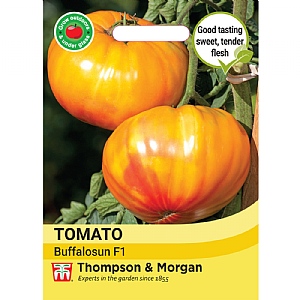 Thompson & Morgan Tomato Buffalosun F1 Seeds