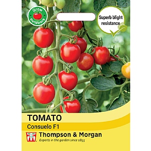 Thompson & Morgan Tomato Consuelo (Crimson Cherry) Seeds