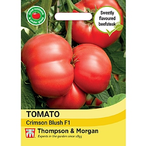 Thompson & Morgan Tomato Crimson Blush Blight Resistant F1 (Rose Crush) Seeds