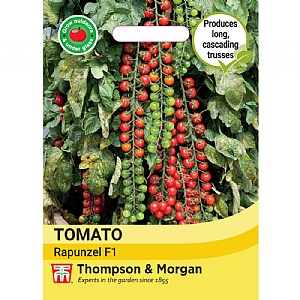 Thompson & Morgan Tomato Rapunzel Seeds