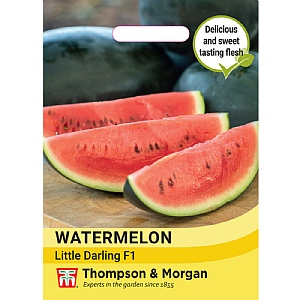 Thompson & Morgan Watermelon Little Darling F1 Seeds