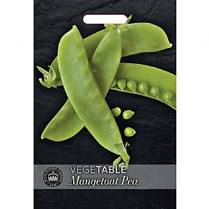 Thompson & Morgan Pea Mangetout Seeds - Sweet Horizon Seeds