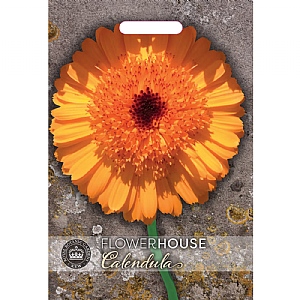 Thompson & Morgan Calendula 'Crown Orange' Seeds