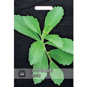 Thompson & Morgan Stevia rebaudiana - Natural sweetner Seeds