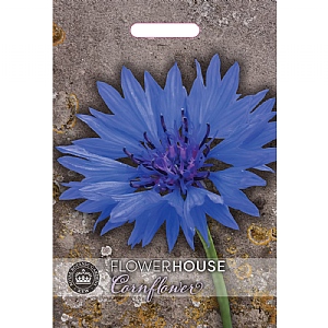 Thompson & Morgan Cornflower Centaurea cyanus Blue Boy Seeds