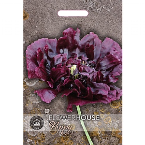 Thompson & Morgan Poppy Papaver Peony Double Black Seeds