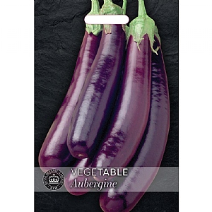 Thompson & Morgan Aubergine Violet Knight F1 Seeds