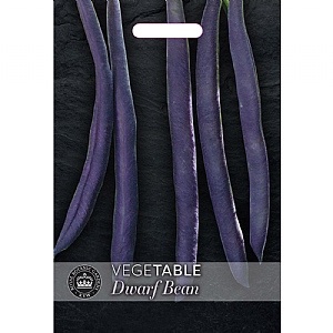 Thompson & Morgan Bean Dwarf Bean Purple Teepee Seeds