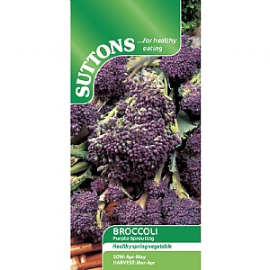 Suttons Broccoli Purple Sprouting Seeds