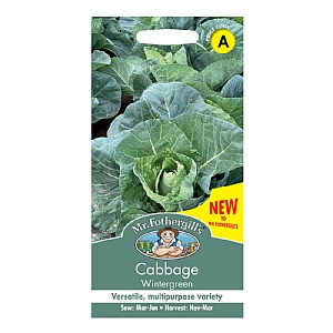 Mr Fothergills Cabbage Wintergreen Seeds