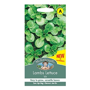 Mr Fothergills Lambs Lettuce Vit Seeds