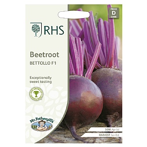 Mr Fothergills Beetroot Bettollo F1  Seeds