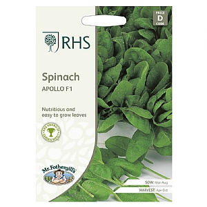 Mr Fothergills Spinach Apollo F1 Seeds