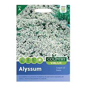 Country Value Alyssum Carpet Of Snow Seeds