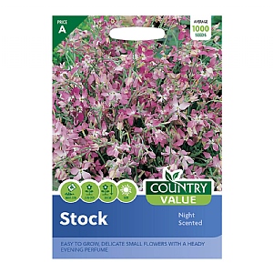 Country Value Stock Night Scented Seeds