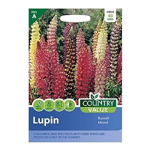 Country Value Lupin Russell Mixed Seeds