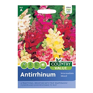 Country Value Antirrhinum Intermediate Mixed Seeds