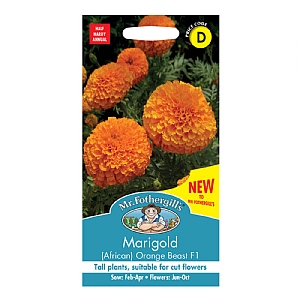 Mr Fothergills Marigold Orange Beast F1 Seeds