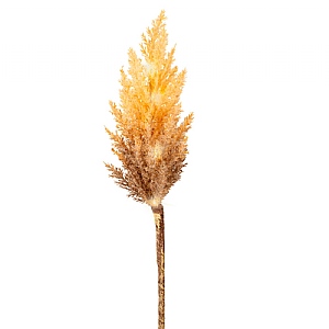 Lumineo Small LED Pampas Grass Cinnamon