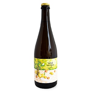 Little Pomona Still Life Cider 750ml (7.1%)