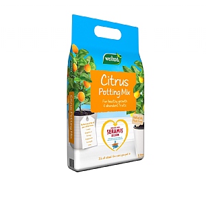 Westland Peat Free Citrus Potting Mix 8L