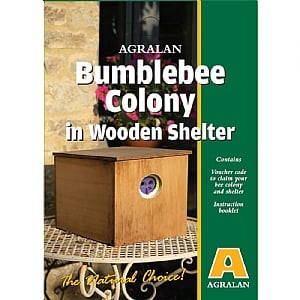 Agralan Bumble Bee Colony In Wooden Shelter