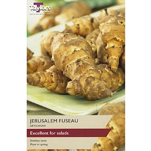 Jerusalem Artichoke Fuseau (Pack of 2)