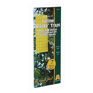 Growth Technology Yellow Sticky Traps Pack of 7