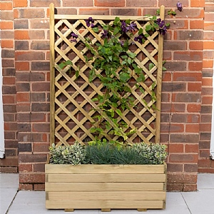 Trellis Planter