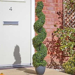 Smart Garden Topiary Twirl 120cm