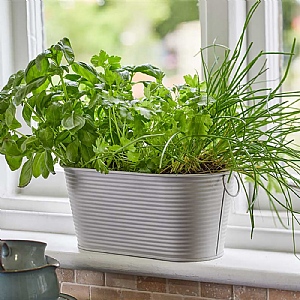 Smart Garden 11" Ivory Ribbed Planter