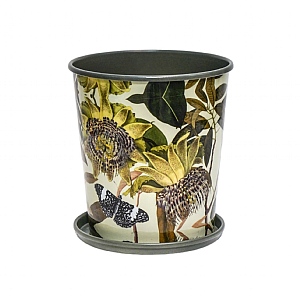 Kew Botanical Retreat Planter With Saucer 14cm