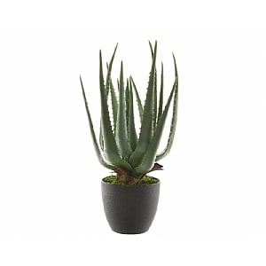Aloe Vera Potted Artificial Plant 67cm