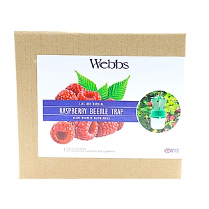 Webbs Raspberry Beetle Trap