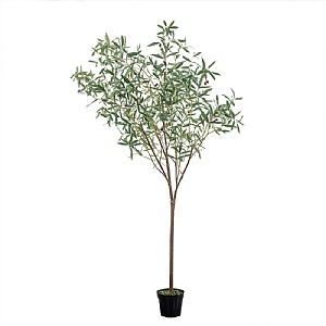 Gallery Direct Green Olive Tree Large 202cm