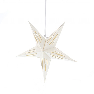 Festive Hanging White Paper 5 Pointed Star 20cm