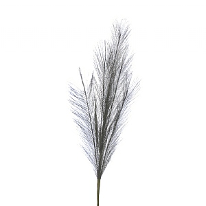Festive Dark Grey Pampas Grass Stem 80cm