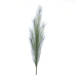 Festive Sage Green Pampas Grass Stem 100cm