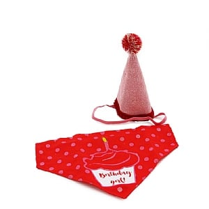 Ancol It's My Birthday Hat & Bandana Pink